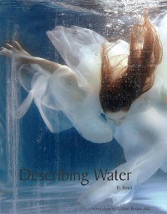 Cover Describing Water (eBook, ePUB)