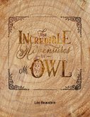 The Incredible Adventures of Mr Owl (eBook, ePUB)