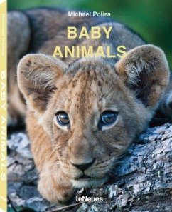 Baby Animals - Poliza, Michael