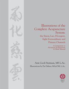 Illustrations of the Complete Acupuncture System - Cecil-Sterman, Ann