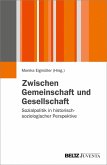 Zwischen Gemeinschaft und Gesellschaft (eBook, PDF)