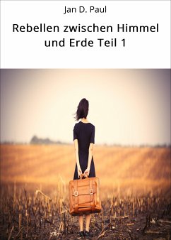 Rebellen zwischen Himmel und Erde Teil 1 (eBook, ePUB) - D. Paul, Jan