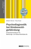 Psychodiagnostik bei Kindeswohlgefährdung (eBook, PDF)