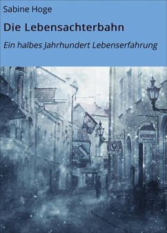 Die Lebensachterbahn (eBook, ePUB) - Hoge, Sabine