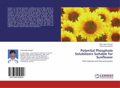 Potential Phosphate Solubilizers Suitable for Sunflower