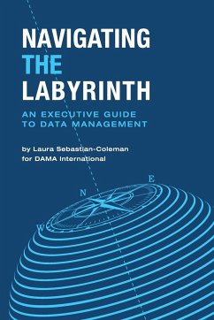 Navigating the Labyrinth - Sebastian-Coleman, Laura