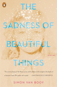 The Sadness of Beautiful Things - Booy, Simon Van