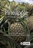 The Pineapple