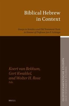 Biblical Hebrew in Context