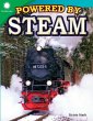 Powered by Steam - Bild 1