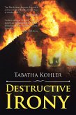 Destructive Irony (eBook, ePUB)