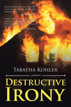 Cover Destructive Irony (eBook, ePUB)