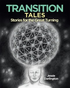Cover TransitionTales (eBook, ePUB)