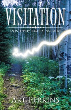 Cover Visitation (eBook, ePUB)