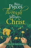 Bits and Pieces Through the Journey in Christ (eBook, ePUB)