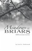 Meadows or Briars (eBook, ePUB)