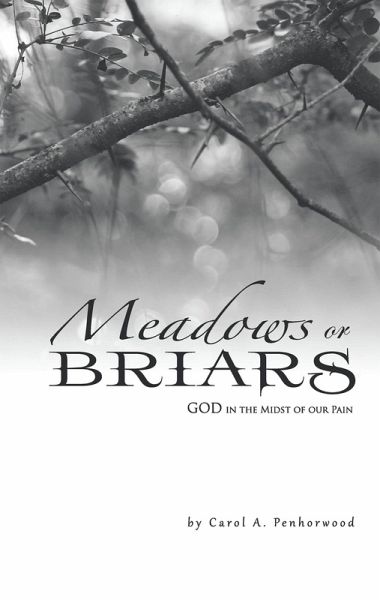 Meadows or Briars (eBook, ePUB)