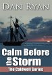 Calm Before the Storm (eBook, ePUB) - Bild 1