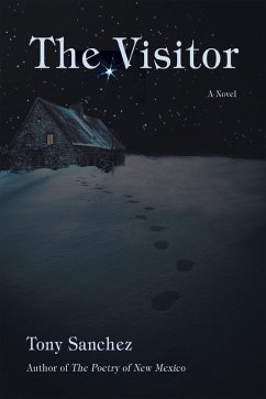 The Visitor (eBook, ePUB)