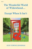 The Wonderful World of Widowhood... Except When It Isn't (eBook, ePUB)