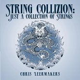String Collizion: Just a Collection of Strings (eBook, ePUB) String Collizion: Just a Collection of Strings (eBook, ePUB)