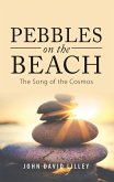 Pebbles on the Beach (eBook, ePUB)