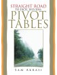 Straight Road to Excel 2013/2016 Pivot... - Bild 1
