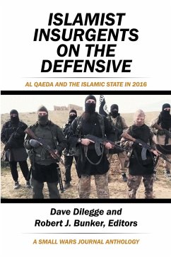 Islamist Insurgents on the Defensive (eBook, ePUB) - Dilegge, Dave