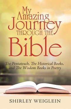 Cover My Amazing Journey Through the Bible (eBook, ePUB)