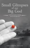 Small Glimpses of Our Big God (eBook, ePUB)