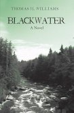 Blackwater (eBook, ePUB)