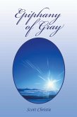Epiphany of Gray (eBook, ePUB)