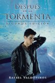 Después De La Tormenta (eBook, ePUB)