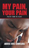 My Pain, Your Pain (eBook, ePUB)