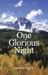 One Glorious Night (eBook, ePUB) - Bild 1
