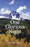 One Glorious Night (eBook, ePUB)