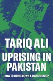 Uprising in Pakistan (eBook, ePUB)