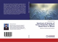 Spectrum of Activity of Some Herbicides Against Weed Flora in Wheat