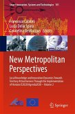 New Metropolitan Perspectives (eBook, PDF)