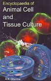 Encyclopaedia Of Animal Cell And Tissue Culture (eBook, ePUB)