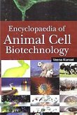 Encyclopaedia of Animal Cell Biotechnology (eBook, ePUB) Encyclopaedia of Animal Cell Biotechnology (eBook, ePUB)