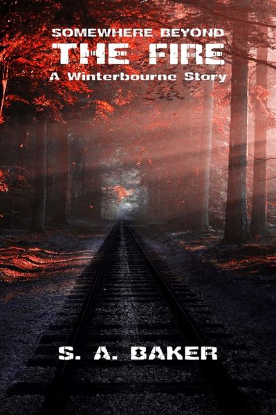 Somewhere Beyond the Fire (eBook, ePUB)