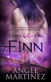 Finn (eBook, ePUB)