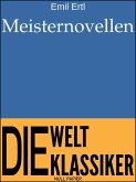 Meisternovellen (eBook, PDF)