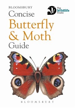 Concise Butterfly and Moth Guide - Bloomsbury