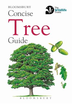 Concise Tree Guide - Bloomsbury