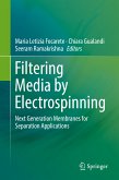 Filtering Media by Electrospinning (eBook, PDF)