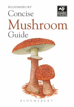 Concise Mushroom Guide - Bloomsbury