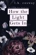 How the Light Gets In (Cracks, #2)... - Bild 1