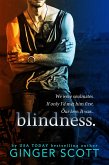 Blindness (eBook, ePUB)